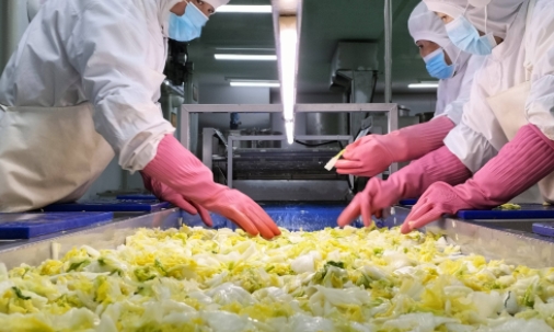 臭氧在净菜加工中应用的主要优点
